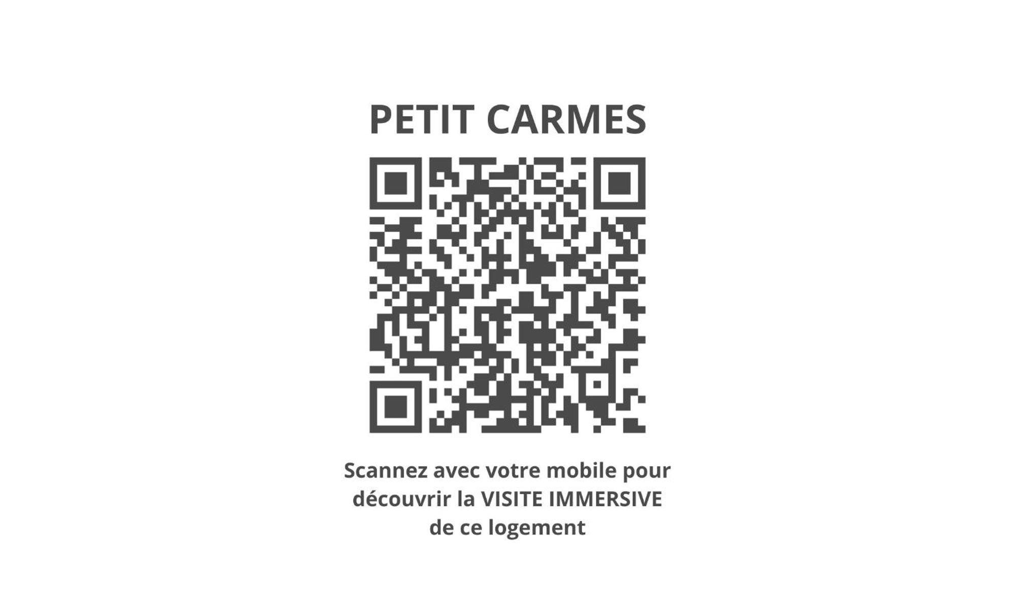 Le Petit Carmes - Joli Studio De Caractere Тулуза Екстер'єр фото